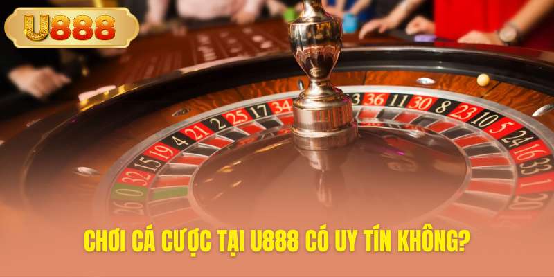 Khám phá sự thật về uy tín nhà cái U888