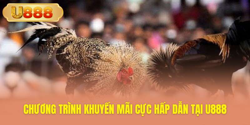 Cập nhật chương trình ưu đãi cực sốc cho kê thủ