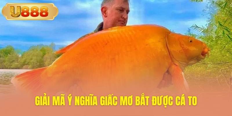 Tìm hiểu sâu sắc ý nghĩa văn hóa giấc mơ cá lớn
