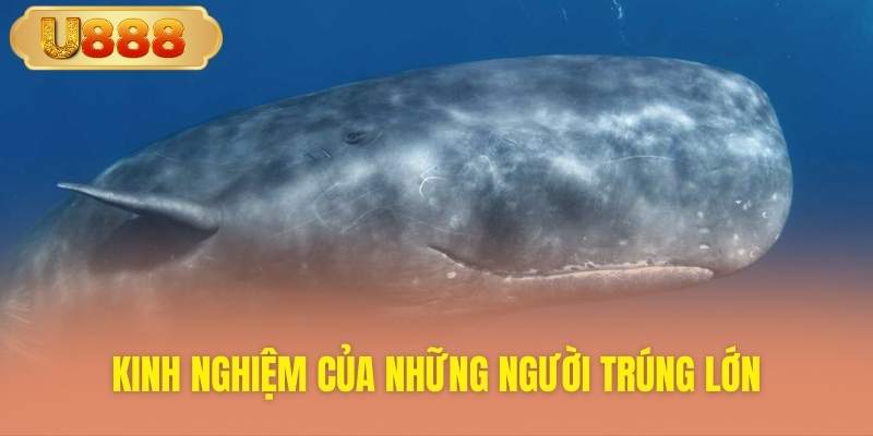 Chia sẻ thực tế từ người thắng lớn nhờ giấc mơ cá