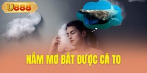 Nằm mơ bắt được cá to