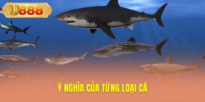Luận giải thông điệp may mắn theo từng loài cá trong mơ