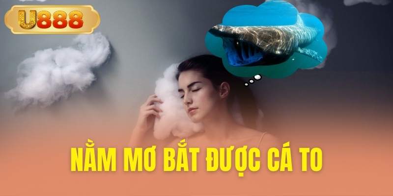 Nằm mơ bắt được cá to