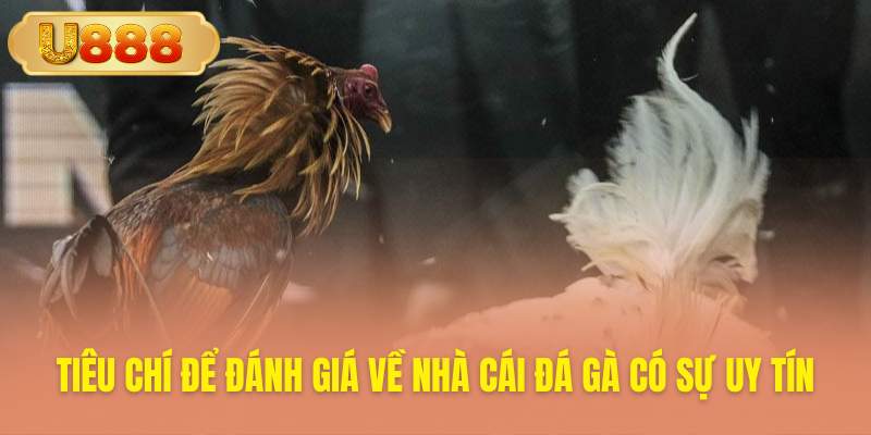 Yếu tố quan trọng đánh giá nhà cái đá gà