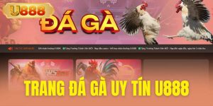 Trang đá gà uy tín